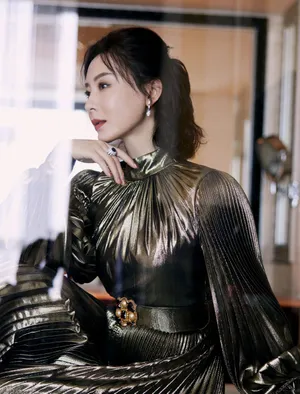 陈数银色长裙优雅写真图片_4