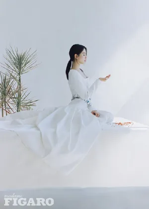 刘诗诗《费加罗Figaro》12月封面大片图片_2