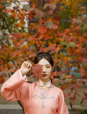 邢菲清宫风古装写真图片_1