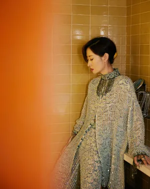 刘敏涛亮片套装优雅写真图片_4