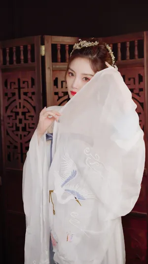 李小璐古风时尚性感大片写真_7