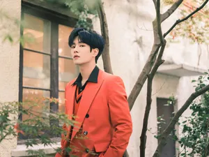 李汶翰枫红西装文艺写真图片_8