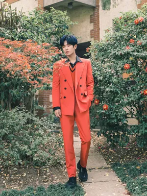 李汶翰枫红西装文艺写真图片_12