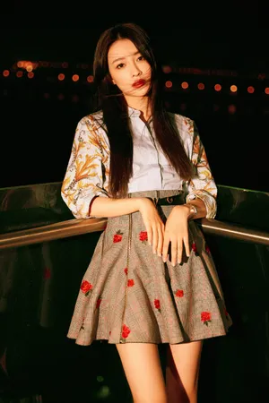 孙怡刺绣上衣夜色写真图片