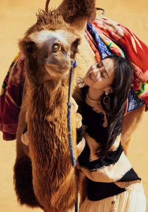 性感美女贾青沙漠骆驼写真大片