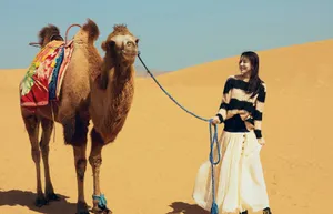 性感美女贾青沙漠骆驼写真大片_2
