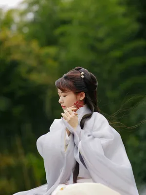 赖美云古风山水意境写真图片_3