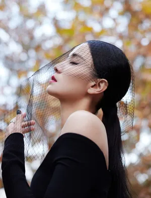 优雅女神宋佳露肩裙性感写真图片_6
