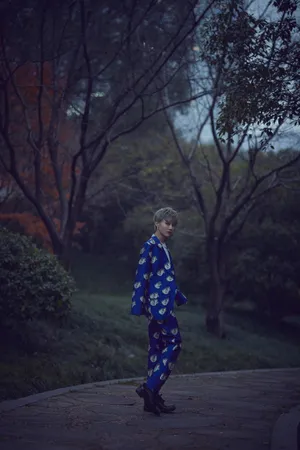 刘雨昕蓝色印花西装时尚写真图片_6