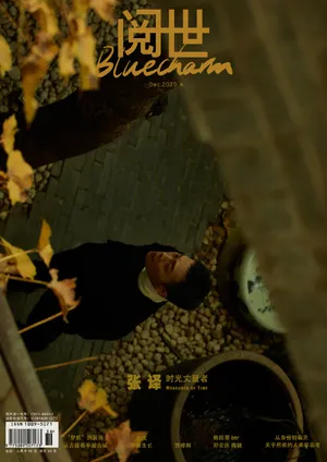 张译质感秋日大片写真图片_6