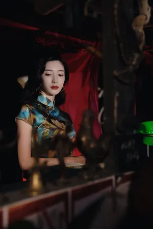 江疏影夜上海旗袍大片写真图片_7