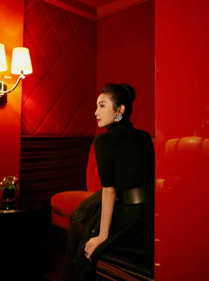 李冰冰性感典雅黑裙写真图片