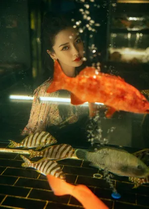 angelababy刺绣长裙金鱼大片写真图片