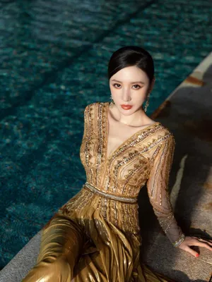 张萌刺金流光溢彩长裙性感写真图片_5