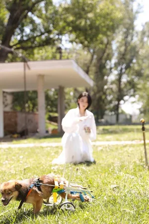 性感美女明星张馨予写真图片_8