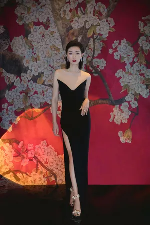 万茜高开叉礼服妩媚性感写真_6
