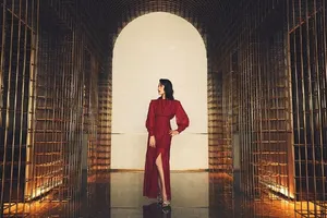 性感美女刘涛复古红裙优雅写真_4