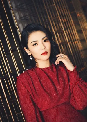 性感美女刘涛复古红裙优雅写真_5