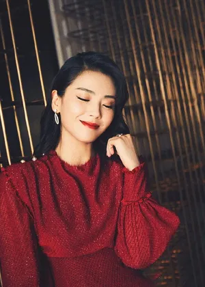 性感美女刘涛复古红裙优雅写真_6