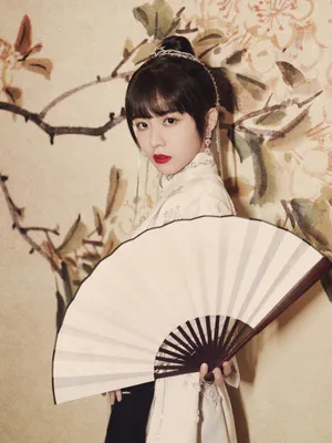 赖美云丸子头水墨国风写真图片