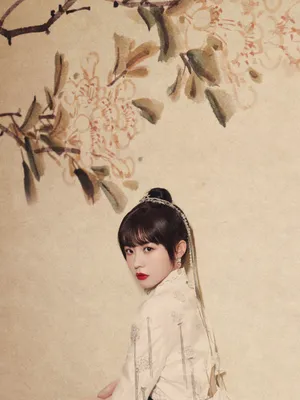 赖美云丸子头水墨国风写真图片_5