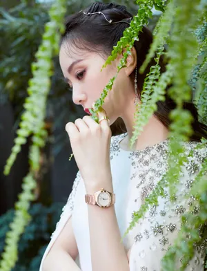 刘诗诗星钻长裙优雅性感写真图片_4