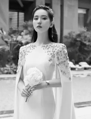 刘诗诗星钻长裙优雅性感写真图片_5