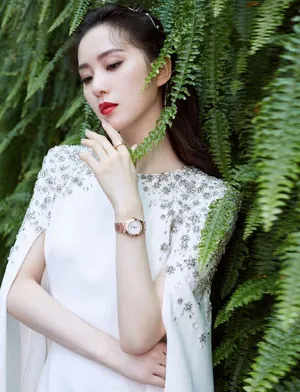 刘诗诗星钻长裙优雅性感写真图片_6