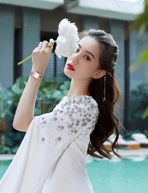 刘诗诗星钻长裙优雅性感写真图片_8