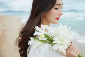 杨幂清新优雅海边沙滩写真图片_9