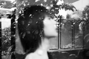 杨紫短发黑裙优雅花园写真图片_7