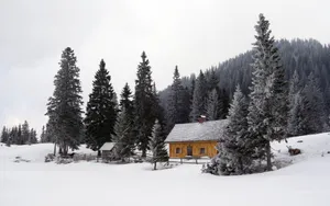 风雪中的木屋高清桌面壁纸_14