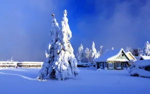 风雪中的木屋高清桌面壁纸_15