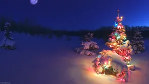玉树琼枝雪景图片壁纸_17