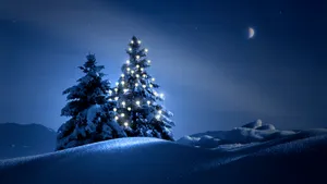 冬季白色雪景宽屏桌面壁纸_4