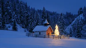 冬季白色雪景宽屏桌面壁纸_6