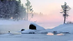 冬季白色雪景宽屏桌面壁纸_8