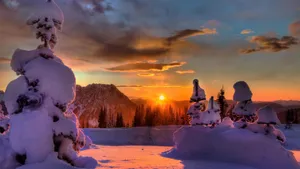 冬季白色雪景宽屏桌面壁纸_9