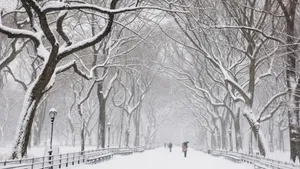 冬季白色雪景宽屏桌面壁纸_14