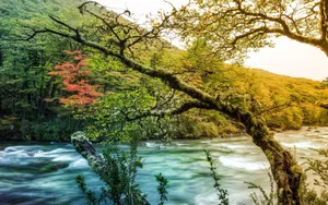 处暑节气自然美景壁纸_6