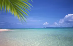 美丽的海水沙滩风景壁纸_3