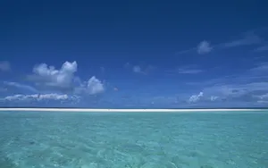 美丽的海水沙滩风景壁纸_8