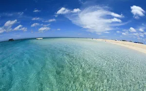 美丽的海水沙滩风景壁纸_11