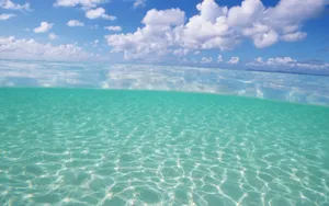 美丽的海水沙滩风景壁纸_12