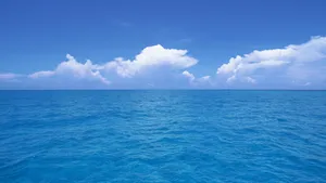 美丽的海水沙滩风景壁纸_13