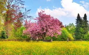 高清淅美丽风景合集壁纸_12