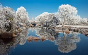 冬季雪的景观壁纸