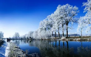 冬季雪的景观壁纸_2