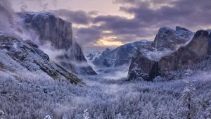 冬季雪的景观壁纸_3
