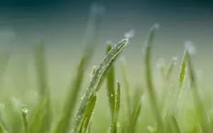 冬季雪的景观壁纸_5